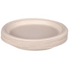 Disposable Plates For Birthday Party (30pc)
